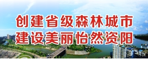 啊啊啊鸡巴好大操我视频创建省级森林城市 建设美丽怡然资阳